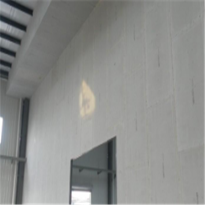 汾阳宁波ALC板|EPS加气板隔墙与混凝土整浇联接的实验研讨